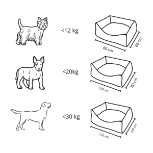 rozmiary kanap dla psa